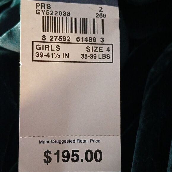 Ralph Lauren blue label emerald green soft velvet silk blend dress Sz 4 NWT - Picture 8 of 8